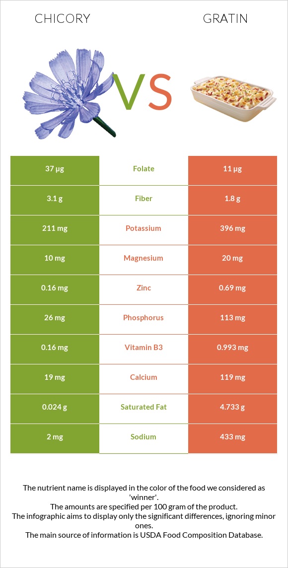 Chicory vs Gratin infographic