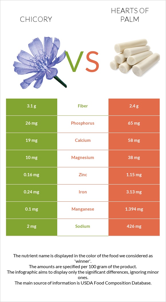 Chicory vs Hearts of palm infographic