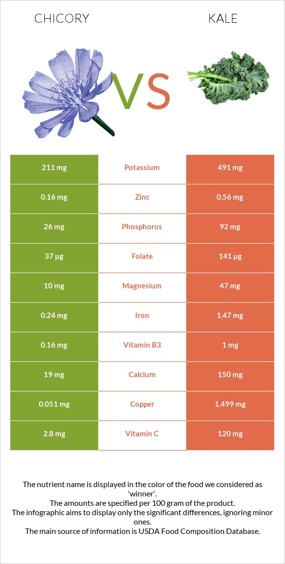 Chicory vs Kale infographic