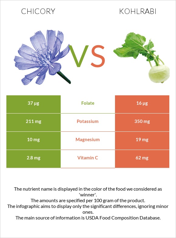 Chicory vs Kohlrabi infographic