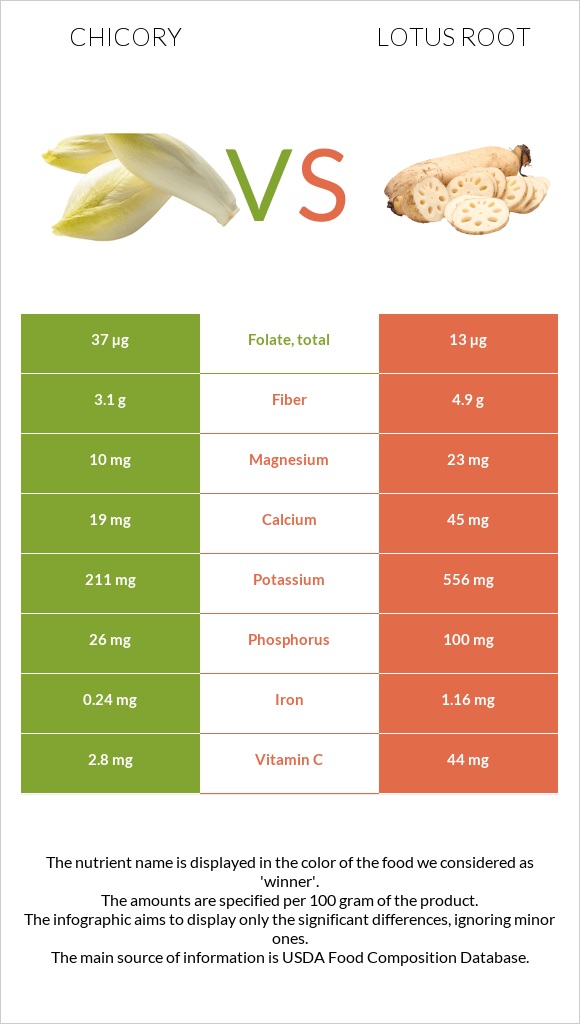 Chicory vs Lotus root infographic