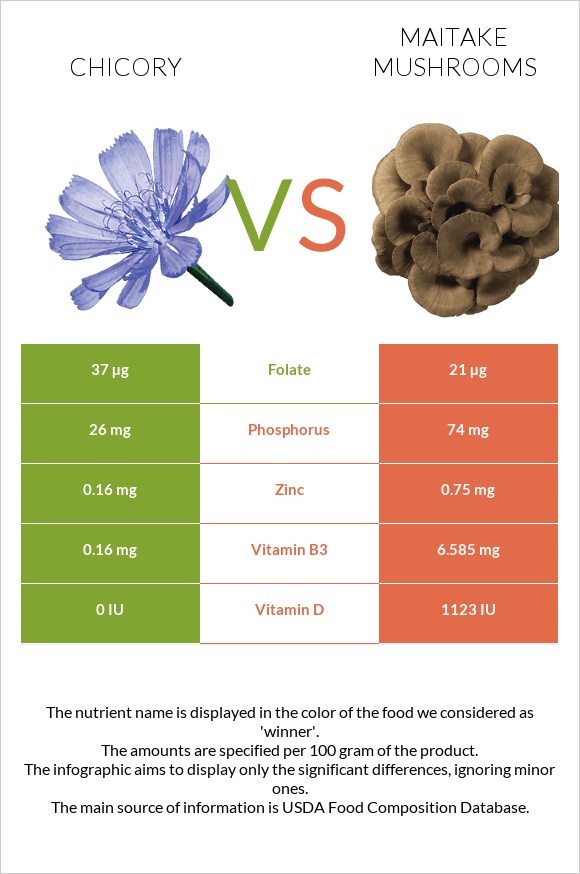 Chicory vs Maitake mushrooms infographic