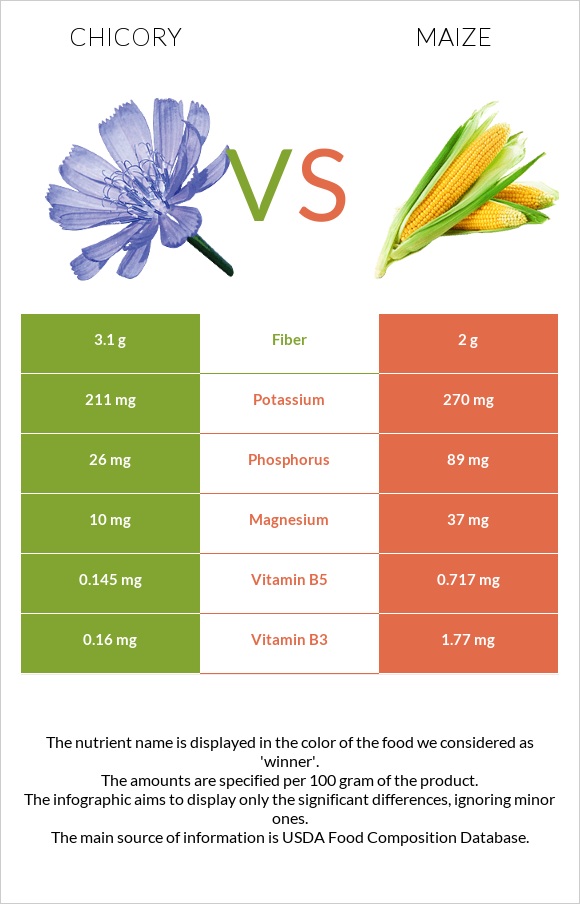 Chicory vs Corn infographic