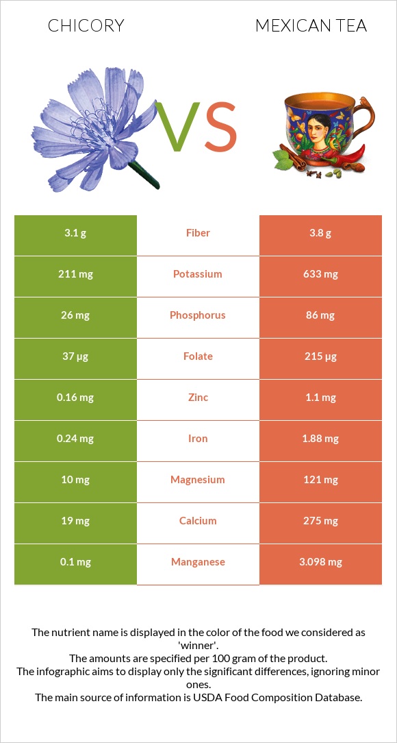 Chicory vs Mexican tea infographic