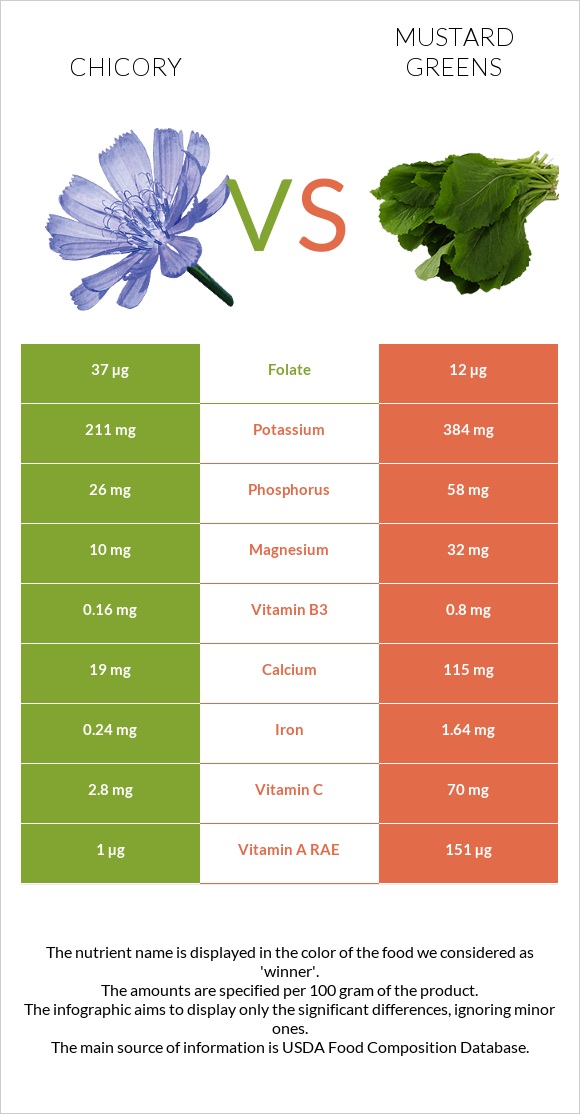 Chicory vs Mustard Greens infographic