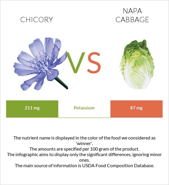 Chicory vs Napa cabbage infographic