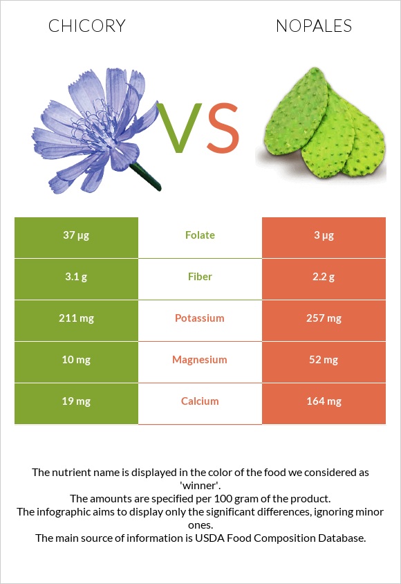 Chicory vs Nopales infographic