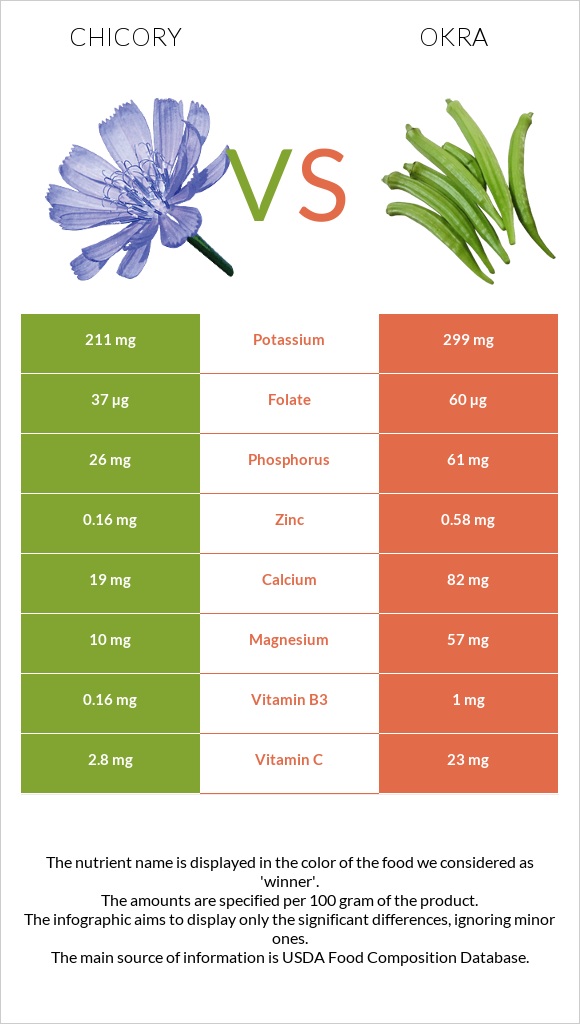 Chicory vs Okra infographic