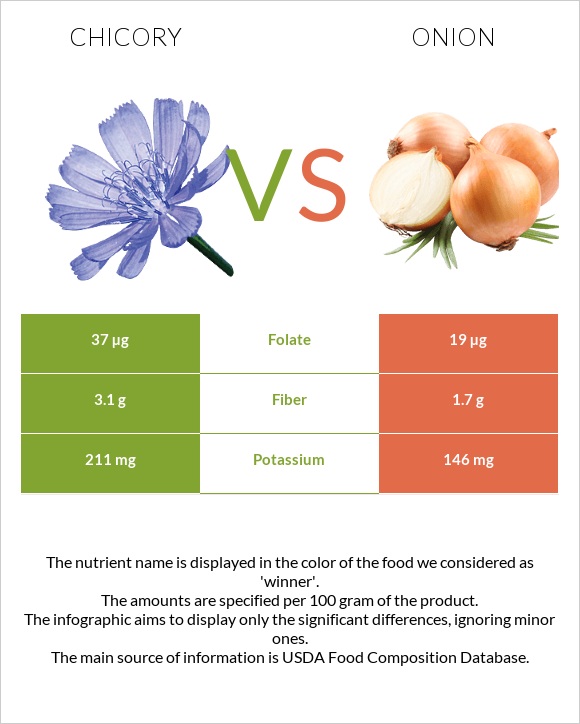 Chicory vs Onion infographic