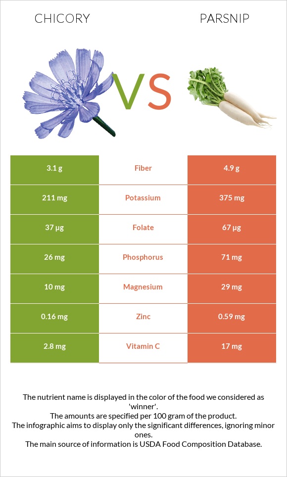 Chicory vs Parsnip infographic