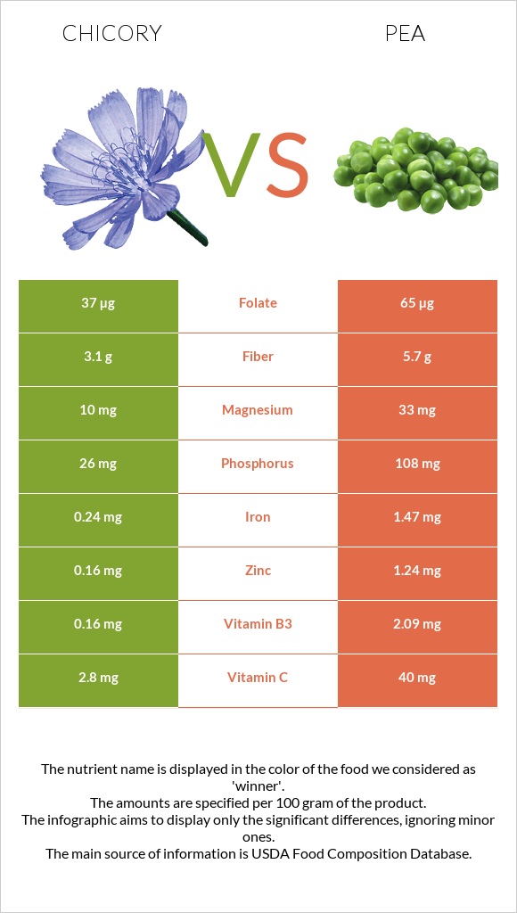 Chicory vs Pea infographic