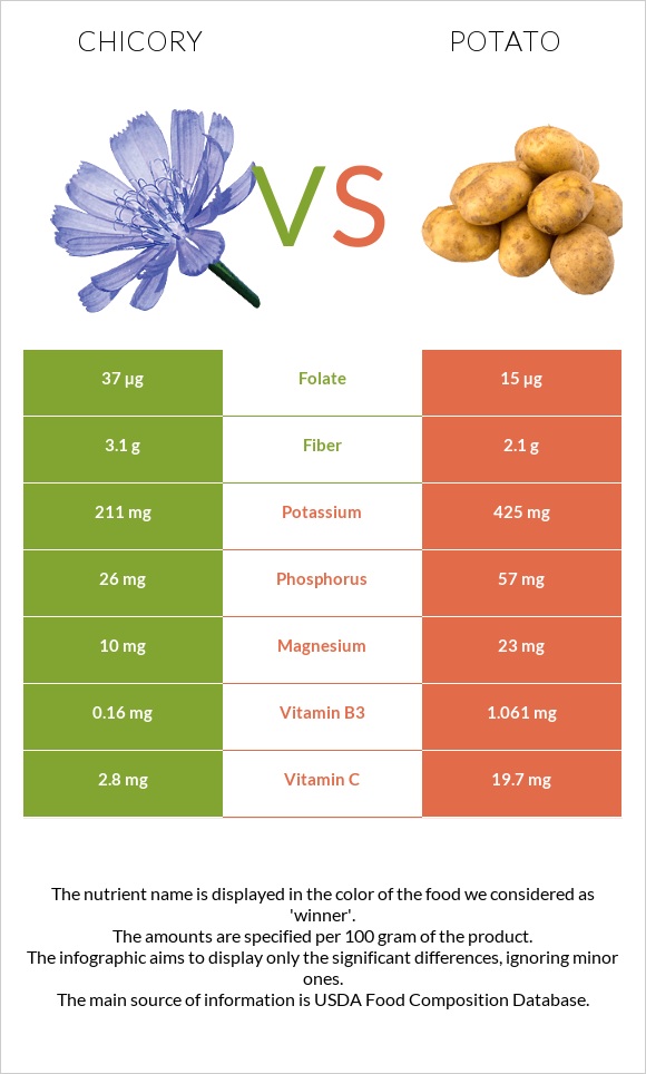 Chicory vs Potato infographic
