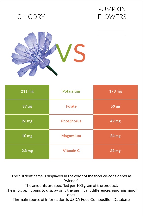 Chicory vs Pumpkin flowers infographic