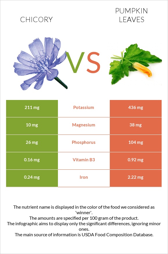 Chicory vs Pumpkin leaves infographic