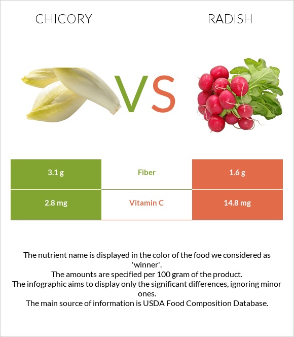 Chicory vs Radish infographic