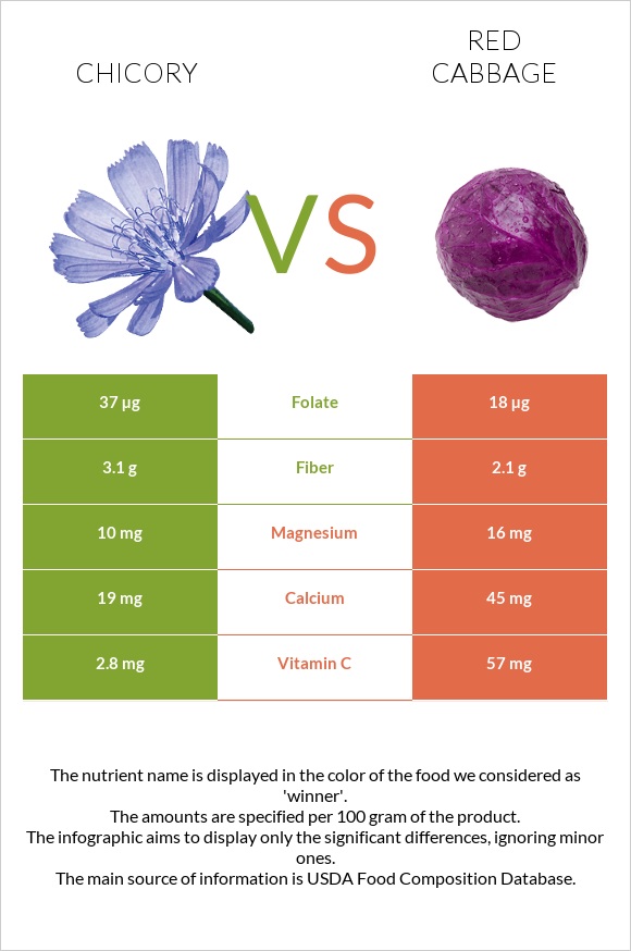 Chicory vs Red cabbage infographic