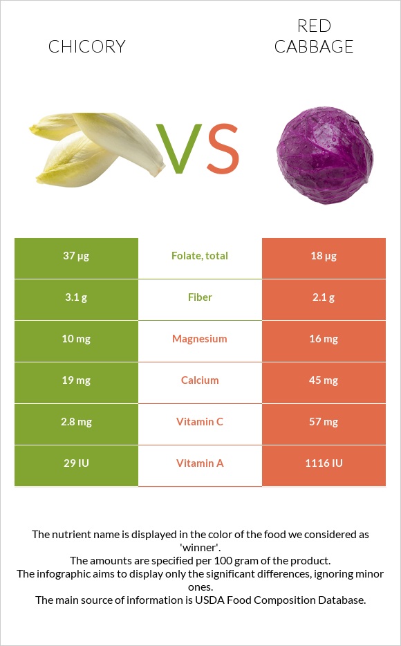 Chicory vs Red cabbage infographic