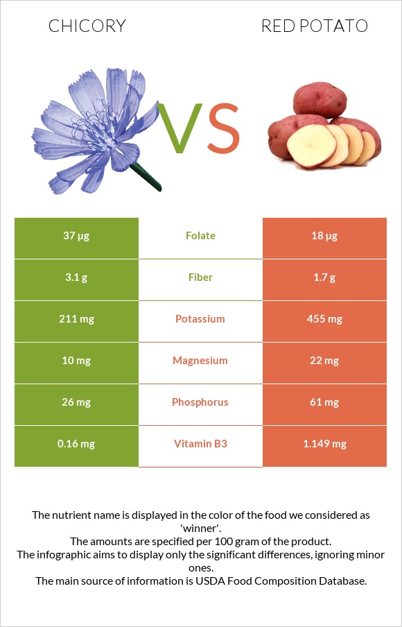Chicory vs Red potato infographic