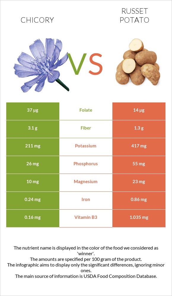 Chicory vs Russet potato infographic