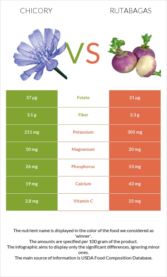 Chicory vs Rutabagas infographic
