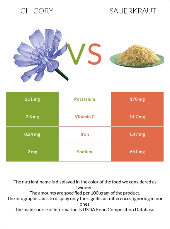Chicory vs Sauerkraut infographic