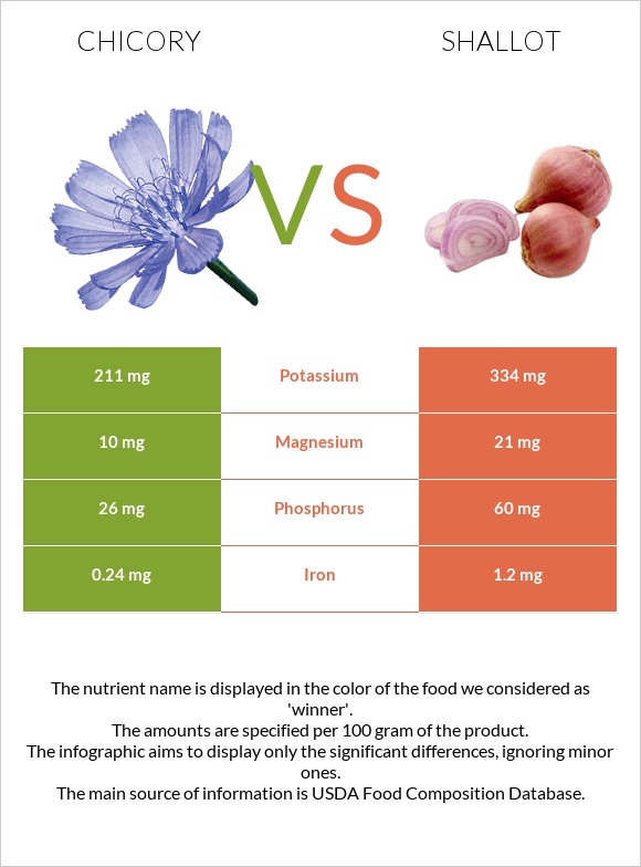 Chicory vs Shallot infographic