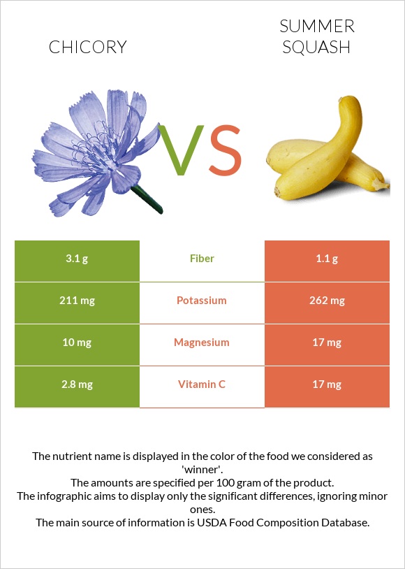 Chicory vs Summer squash infographic