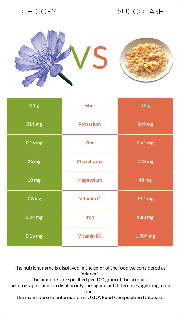 Chicory vs Succotash infographic