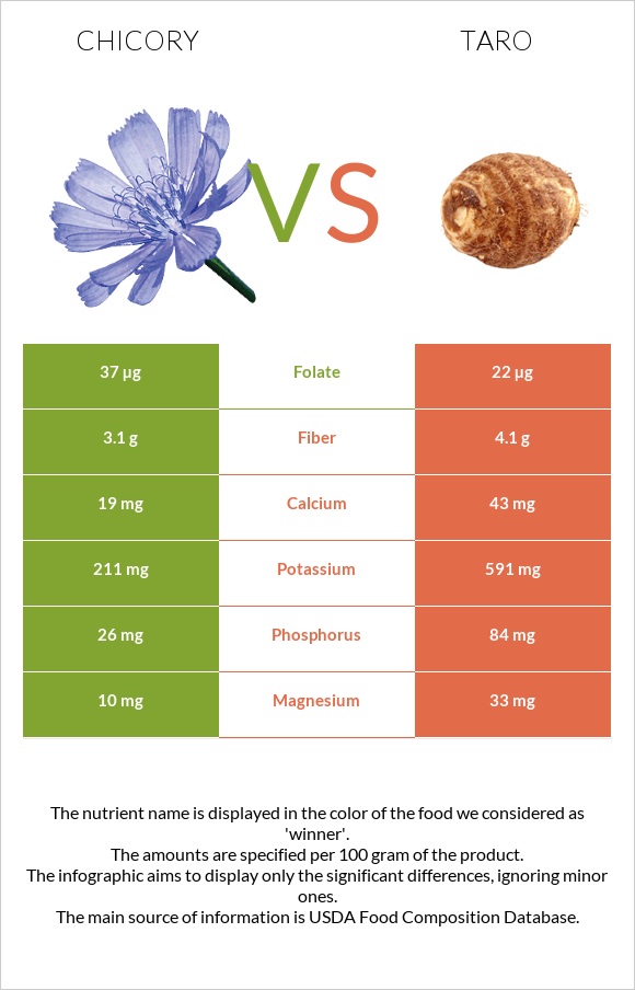 Chicory vs Taro infographic