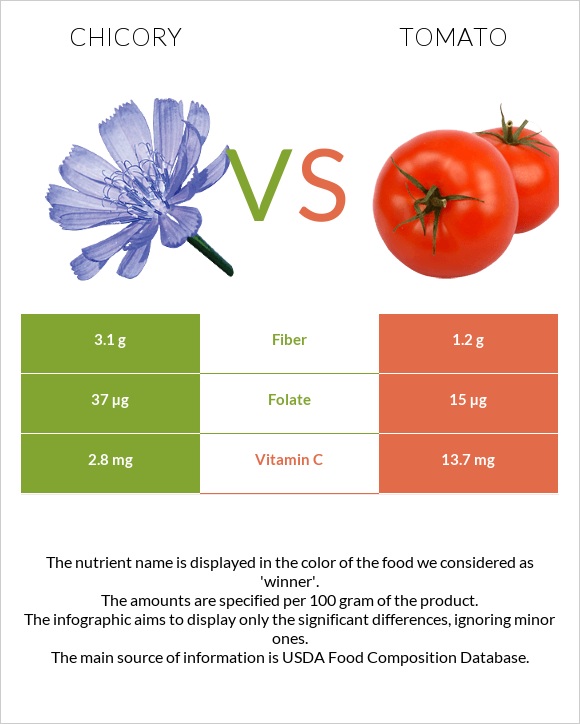 Chicory vs Tomato infographic