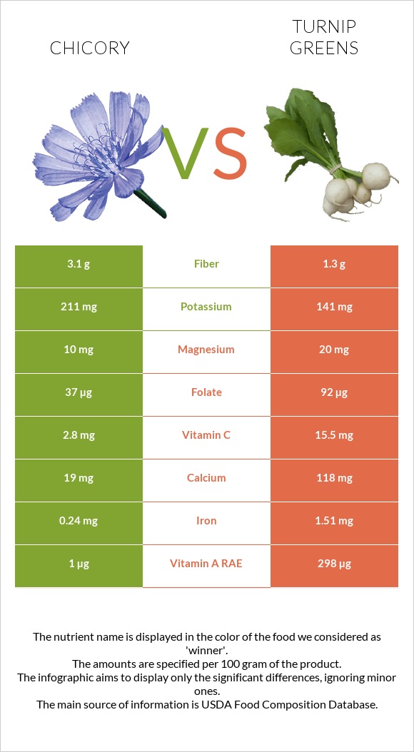 Chicory vs Turnip greens infographic