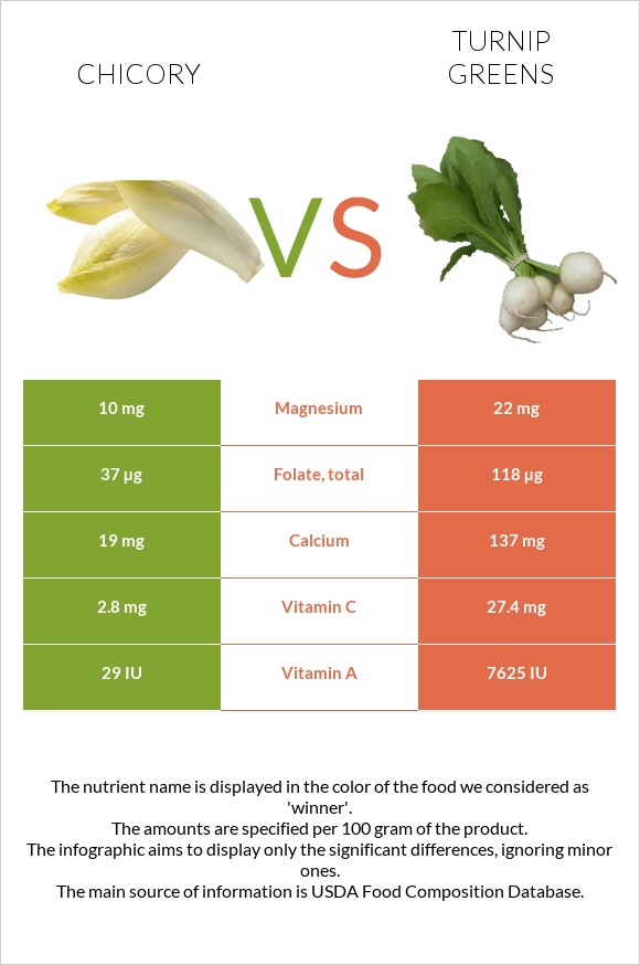 Chicory vs Turnip greens infographic