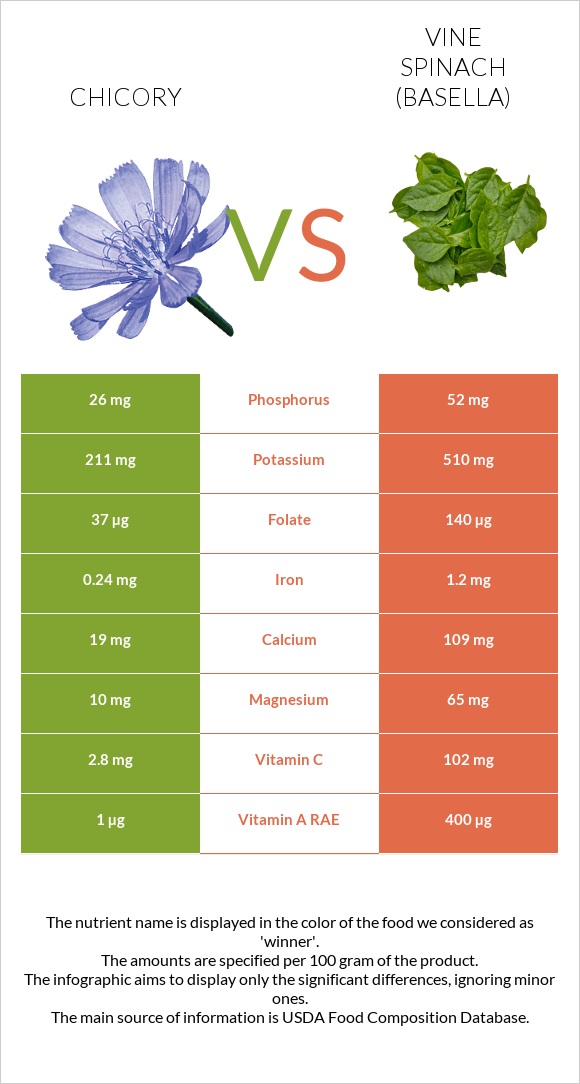 Chicory vs Vine spinach (basella) infographic