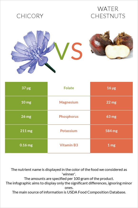 Chicory vs Water chestnuts infographic
