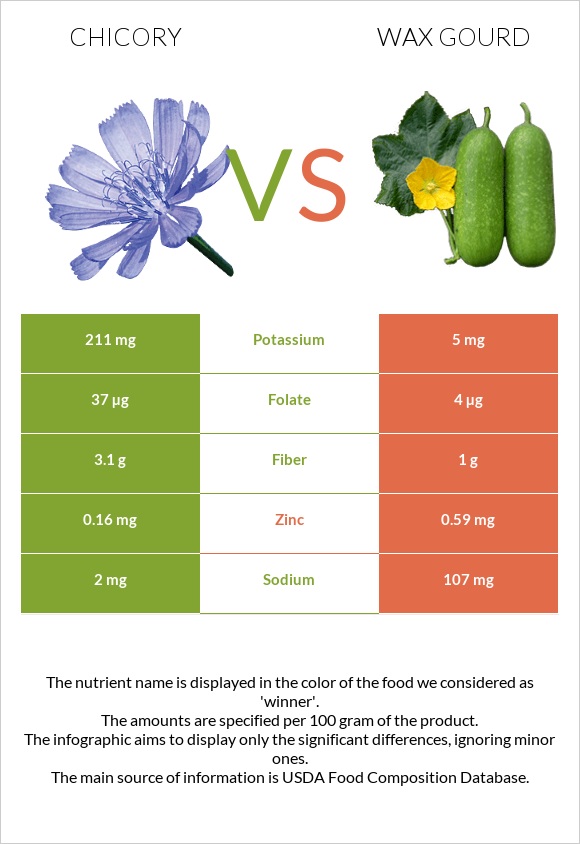 Chicory vs Wax gourd infographic
