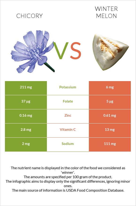 Chicory vs Winter melon infographic
