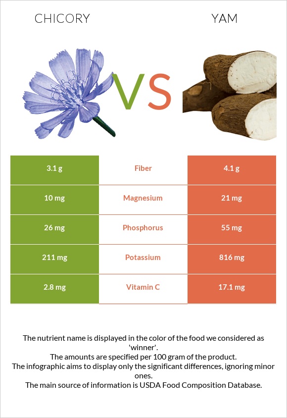 Chicory vs Yam infographic