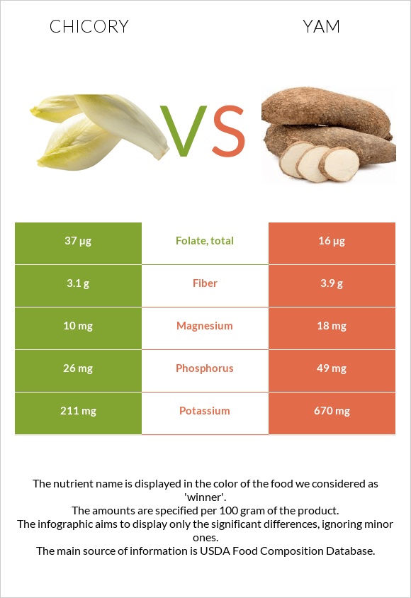 Chicory vs Yam infographic