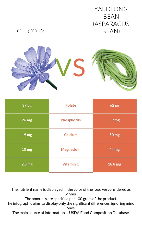Chicory vs Yardlong bean (Asparagus bean) infographic