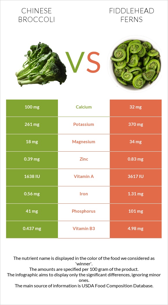 Չինական բրոկկոլի vs Fiddlehead ferns infographic