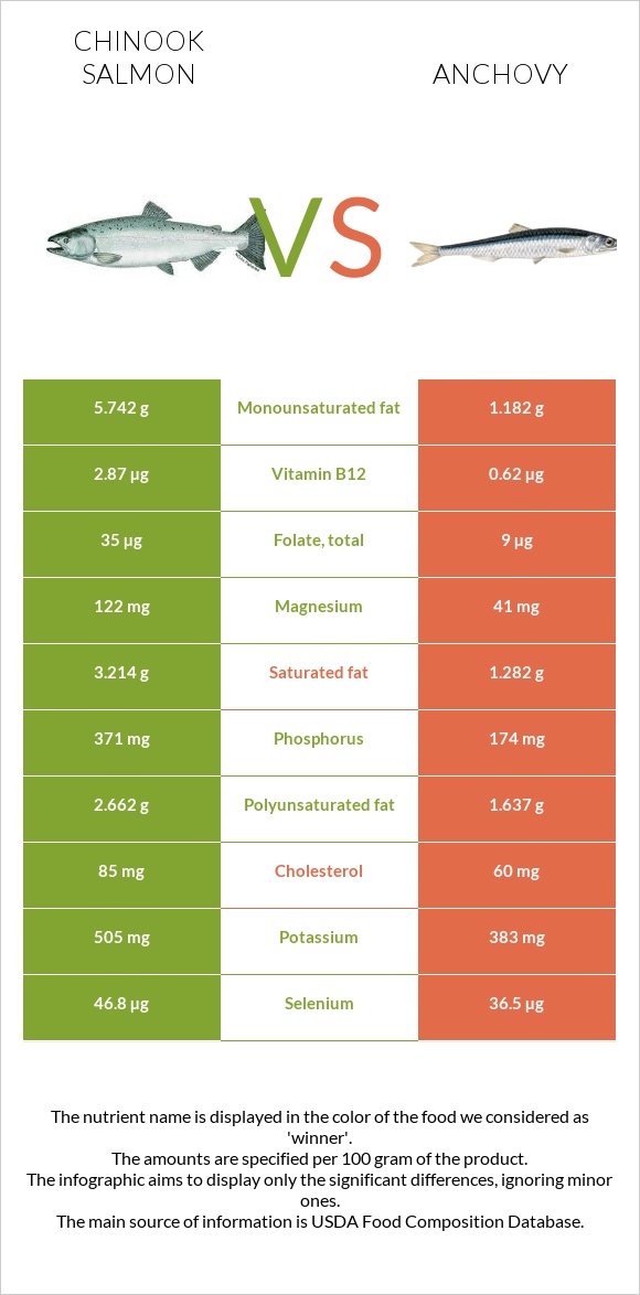 Սաղմոն չավիչա vs Anchovy infographic