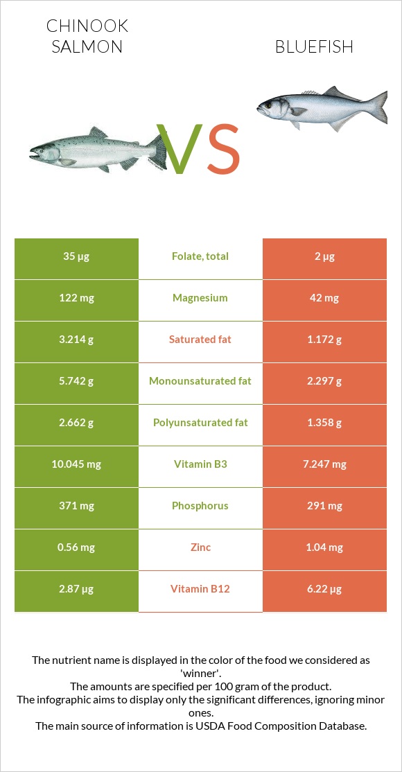 Chinook salmon vs Bluefish infographic