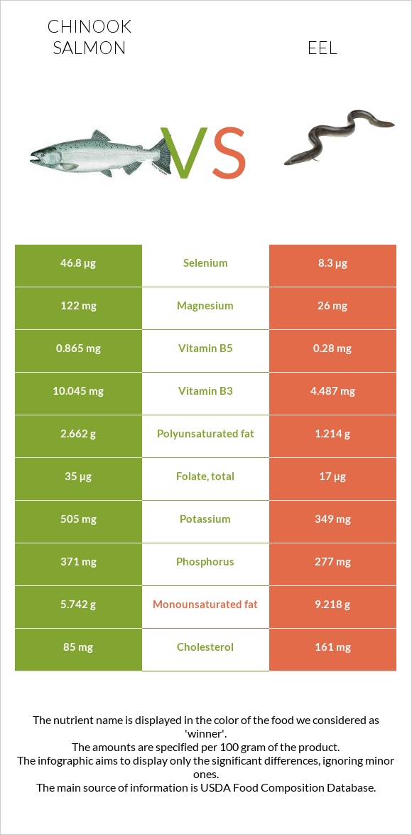 Chinook salmon vs Eel infographic