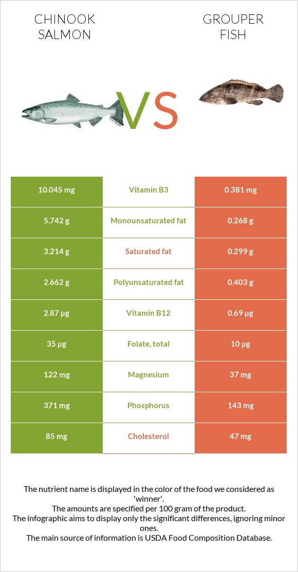 Սաղմոն չավիչա vs Grouper fish infographic