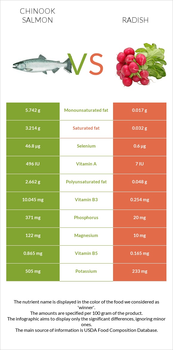 Chinook salmon vs Radish infographic