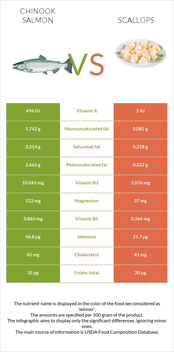 Chinook salmon vs Scallop infographic