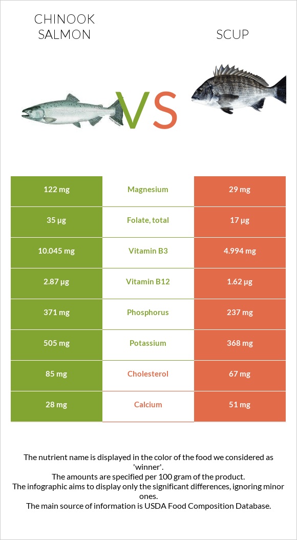 Chinook salmon vs Scup infographic