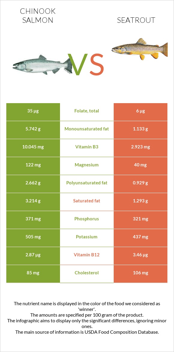 Սաղմոն չավիչա vs Seatrout infographic