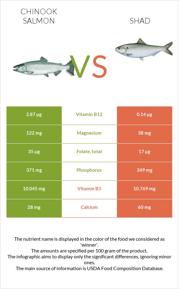 Սաղմոն չավիչա vs Shad infographic