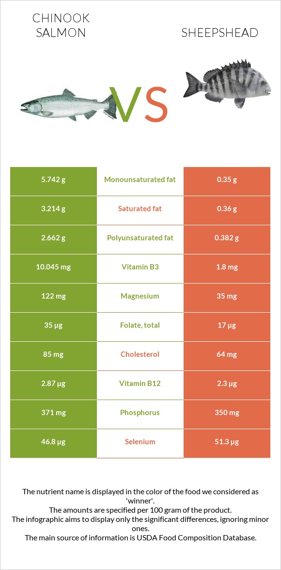 Chinook salmon vs Sheepshead infographic